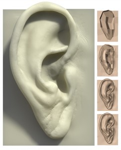 07Mar/mudbox/JasonBickerstaff_EarCompLarge 07Mar/mudbox/JasonBickerstaff_EarCompLarge