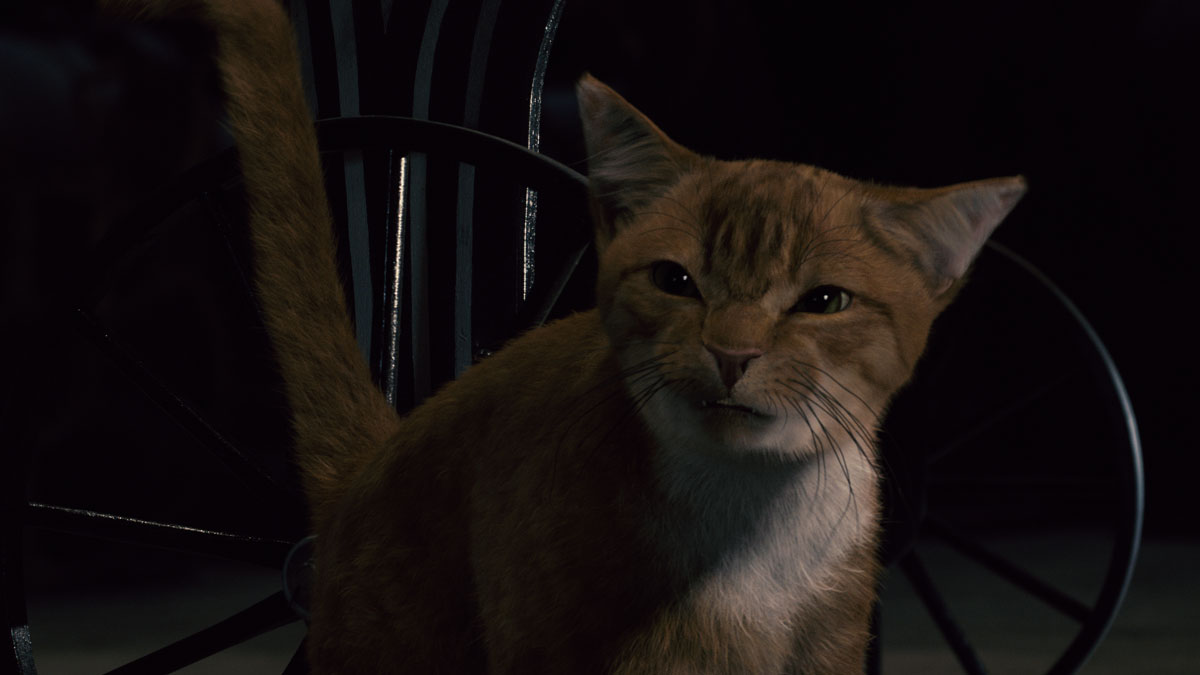 Cats Name In The Smurfs Movie Cats Name In The Smurfs Movie