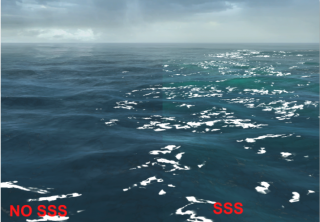 SSS