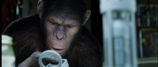 Apes1