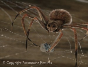 06Dec/cweb/c_fly 06Dec/cweb/c_fly