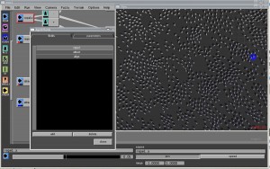 08Aug/s2008_d2/agent_fields