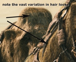 08Mar/10000/hairvariation2
