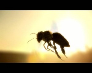 09Oct/buzz/Lexus_000