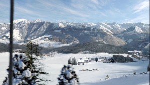 10Aug/knight/weta_alps 10Aug/knight/weta_alps