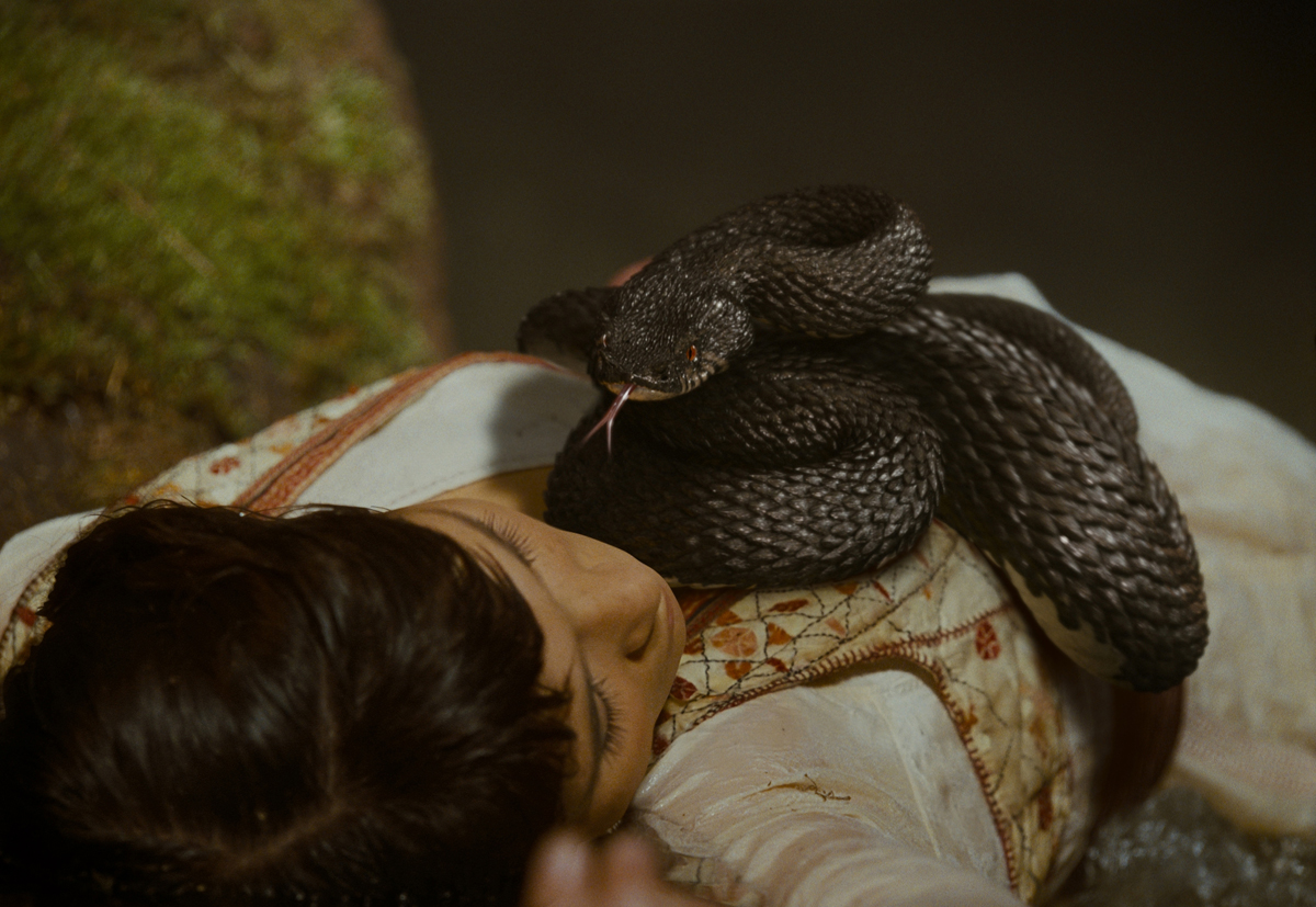 Сон змея ест змею