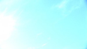 10Aug/salt/hj223_0015_plates_bg