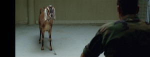 10Jan/goats/goat_final 10Jan/goats/goat_final