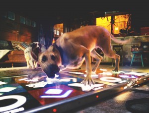 10Jun/duke/Rhythm_0020