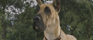 10Jun/duke/cinesite_duke3
