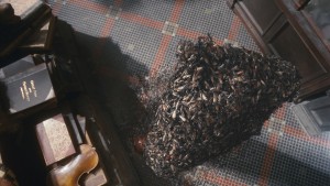 10Oct/app/Asylum_cockroach2