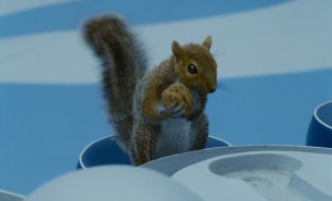 charlie/sq_cup charlie/sq_cup