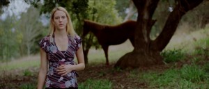 lynch/puppystill2