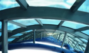 painterix/conceptMS