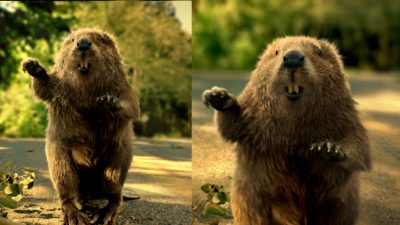 beaver_wip