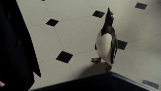 sc051_CmpMain_5
