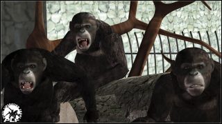 Rise_Apes_PLF_previs_1
