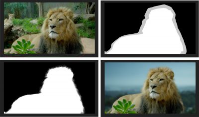 Lion