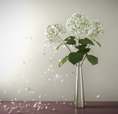 Boris_Cargo_501.hortensia04.recoil&replicators