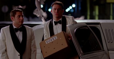 doves3