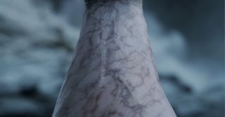 Weta_3