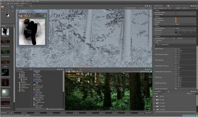 forestB