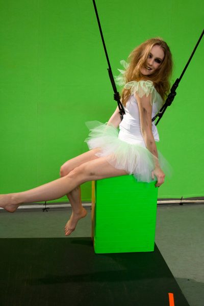 fairy