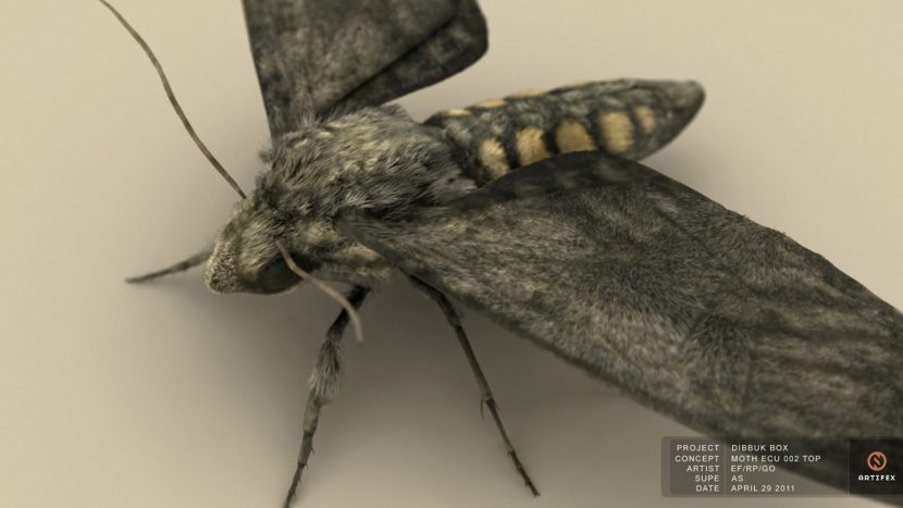 artifex_MOTH_render_ECU_002_top