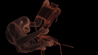 Orang_wireframe
