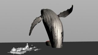 Whale_model