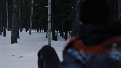 Wolf1_plate