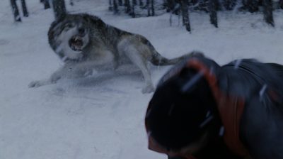 Wolf_attack_final