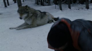 Wolf_attack_plate