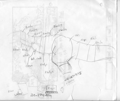 A drawing showing how Williams cut up and named skin on the T-rex.