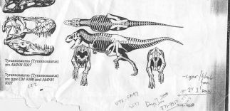 An original image ILM artist Steve 'Spaz' Williams found of a T-rex. "From this I built the first bone test," he says. "From those bones I built the first walk test." Image courtesy Steve Williams.