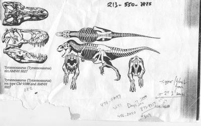 An original image ILM artist Steve 'Spaz' Williams found of a T-rex. "From this I built the first bone test," he says. "From those bones I built the first walk test." Image courtesy Steve Williams.