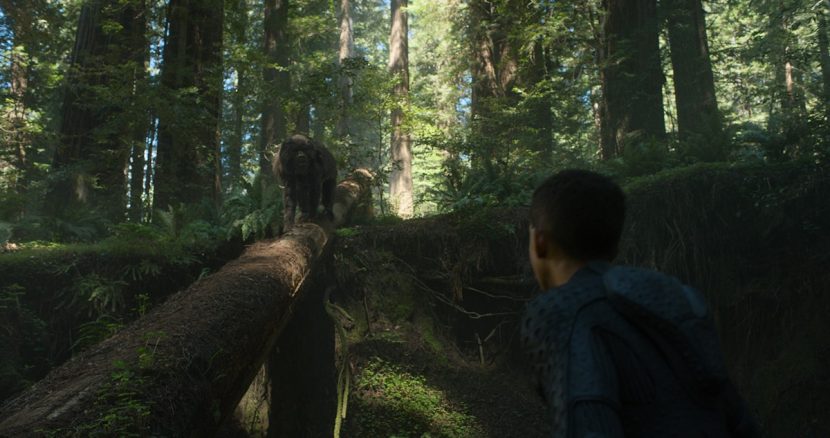 VFX by Iloura.