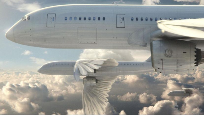 Taking flight.