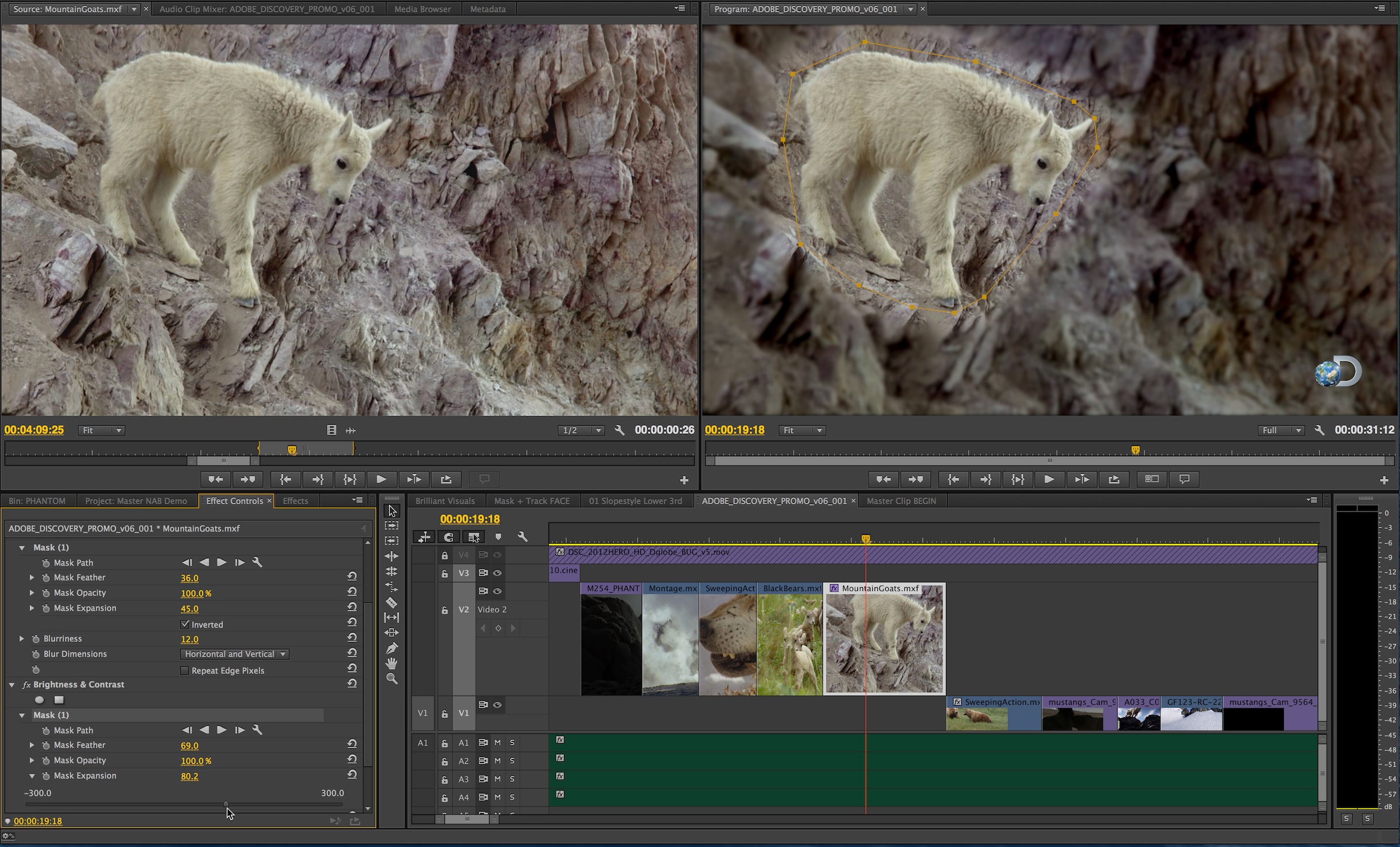 adobe after effects vs premiere pro adobe after effects vs premiere pro