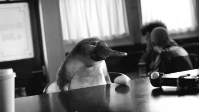 Platypus. Courtesy, MPC