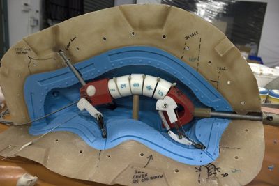 The rat takes shape.