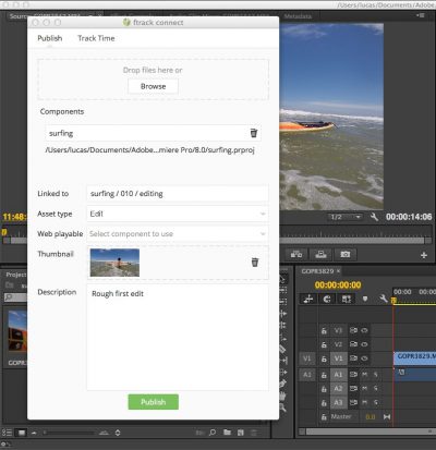 The publisher, showing use within Adobe Premiere