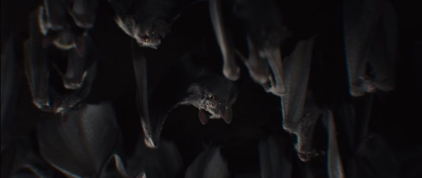 A close-up view of Framestore's digital bats.