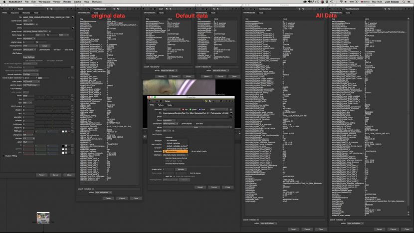 Nuke_Metadata_Options