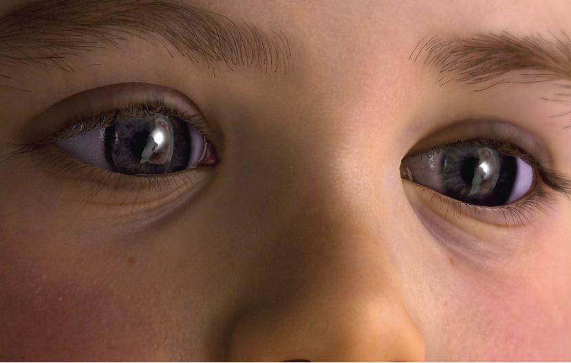 A close up of the latest BabyX's eyes