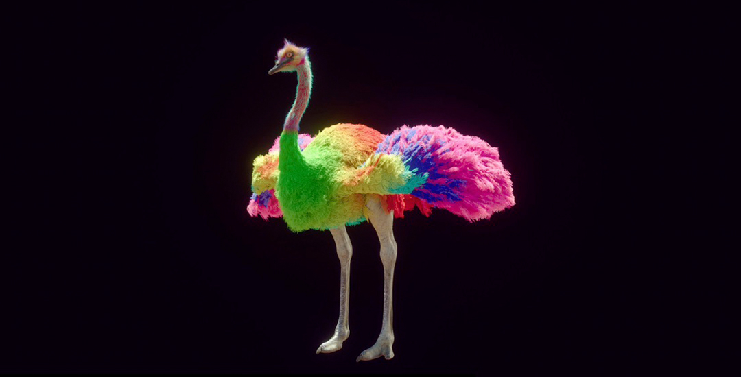 Colorful ostrich discount