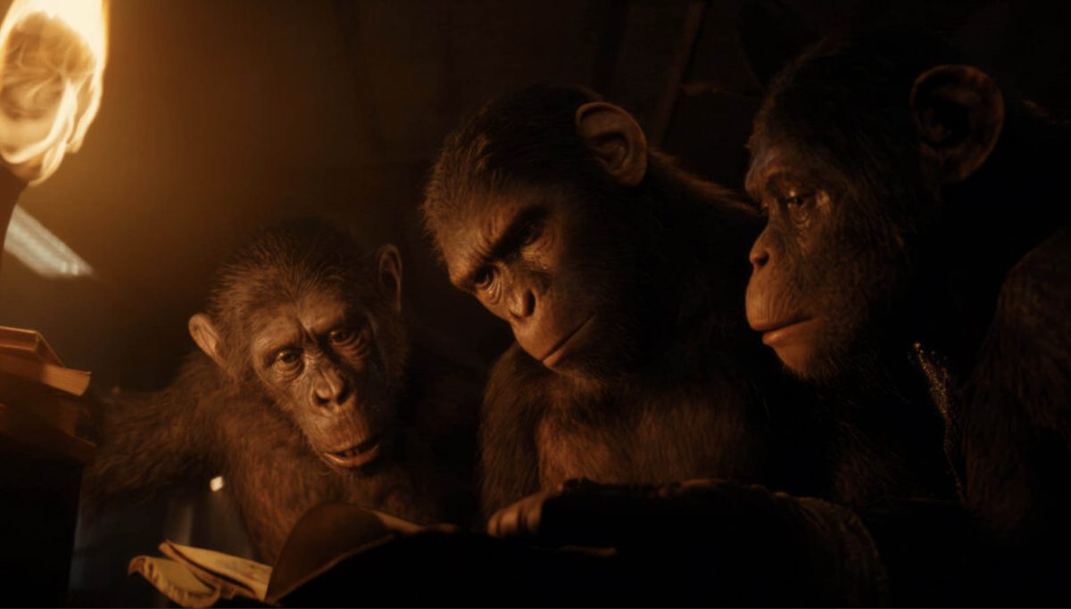 Kingdom of the apes. Kingdom of the apes